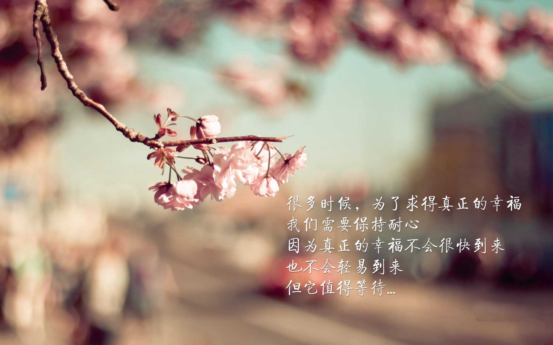 铁矿石新浪（铁矿石 新浪）