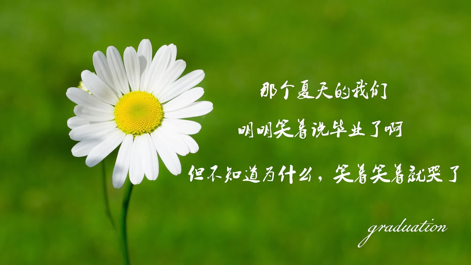 国内铁矿粉价格最新行情走势图表（铁矿粉国际价格）